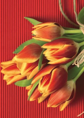 Праздник весны 8 марта. Как поздравить одноклассниц